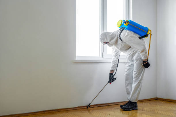 Wasp Removal Services in Narragansett Pier, RI