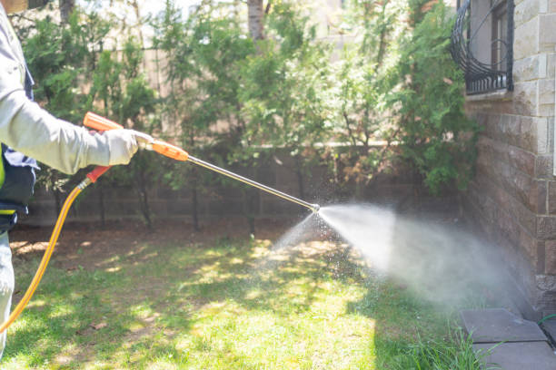 Best Mosquito Control Services  in Narragansett Pier, RI